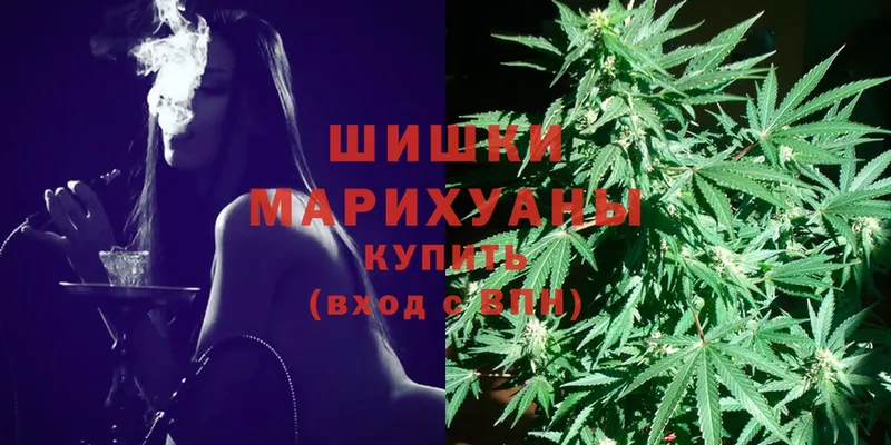 Бошки марихуана THC 21%  купить закладку  Ковдор 